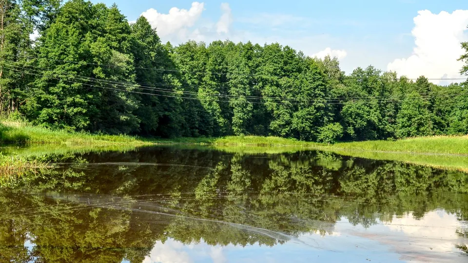 Фото: администрация м.о. Шатура