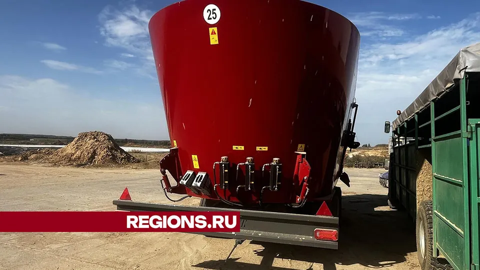 Фото: Наталья Котова