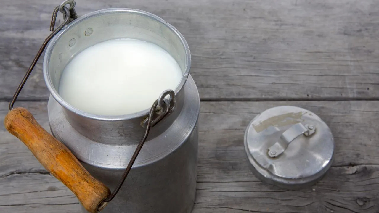 istockphoto.com/DieterMeyrl