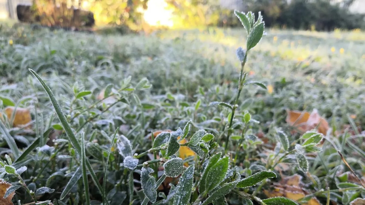 Фото: Евгений Мазепов