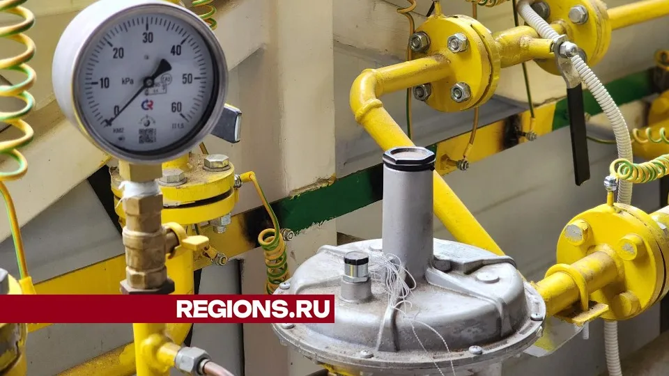 Фото: Светлана Плотникова