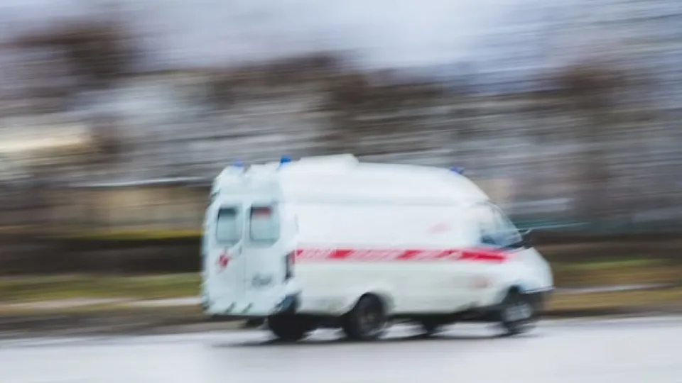 Фото: freepik.com