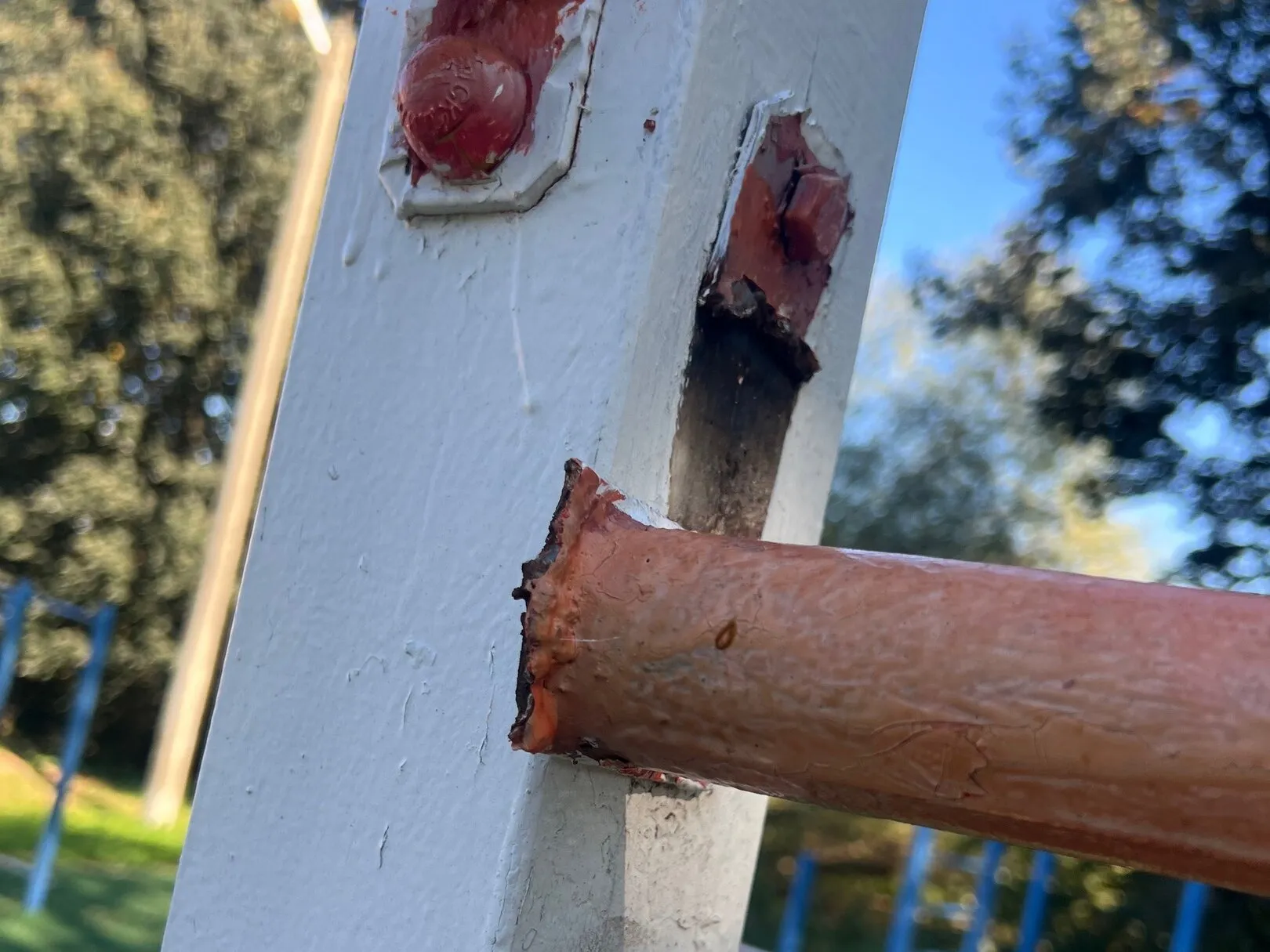 Фото: Ксения В.&nbsp;