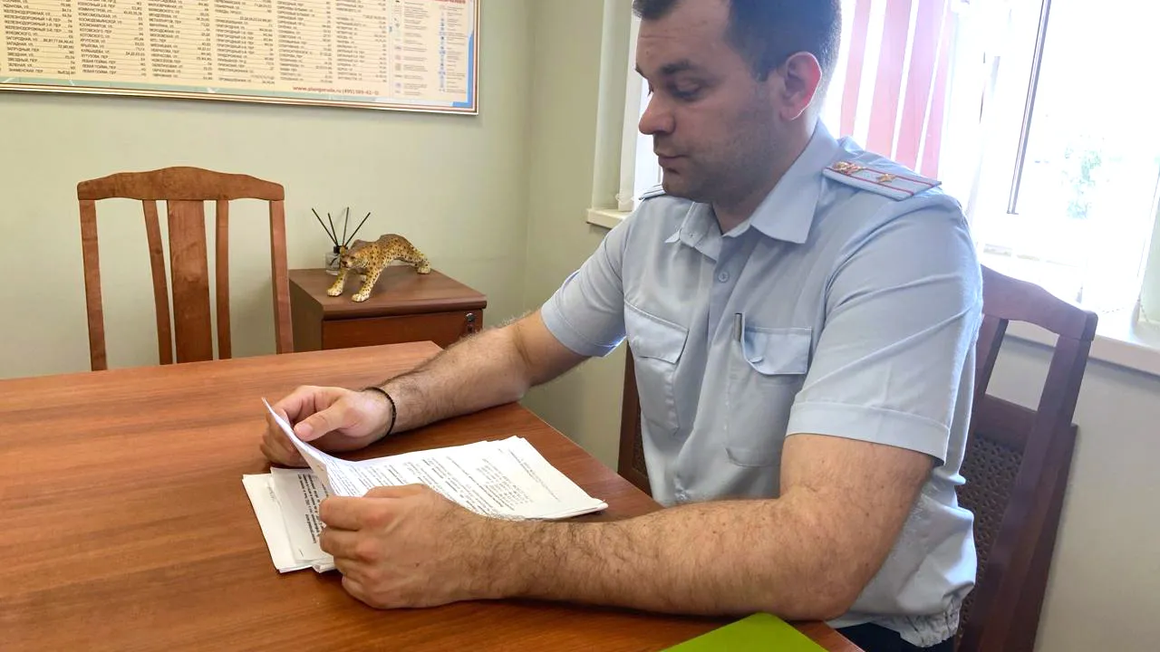 Фото: Пресс-служба ОМВД России по г.о. Ступино