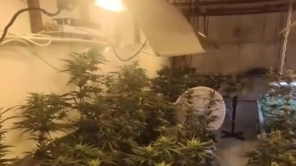 Фото: пресс-служба ГУ МВД России по г. Москве