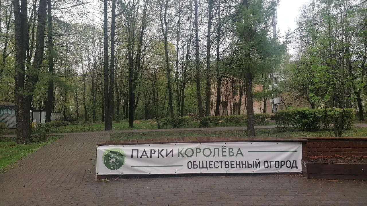 Фото: Роман Савельев.