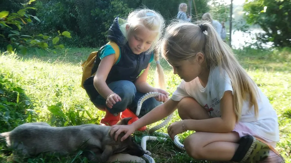 Фото: Мария Панина