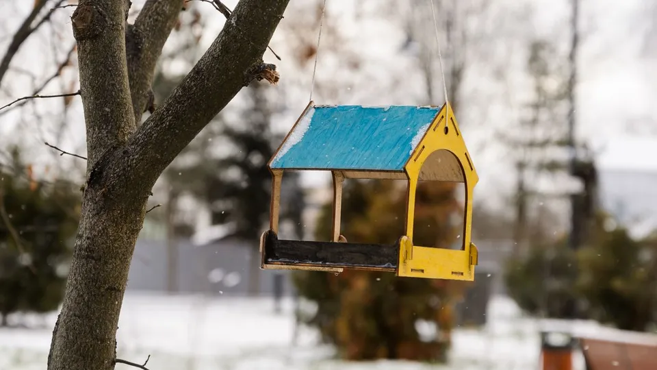 Фото: медиасток.рф
