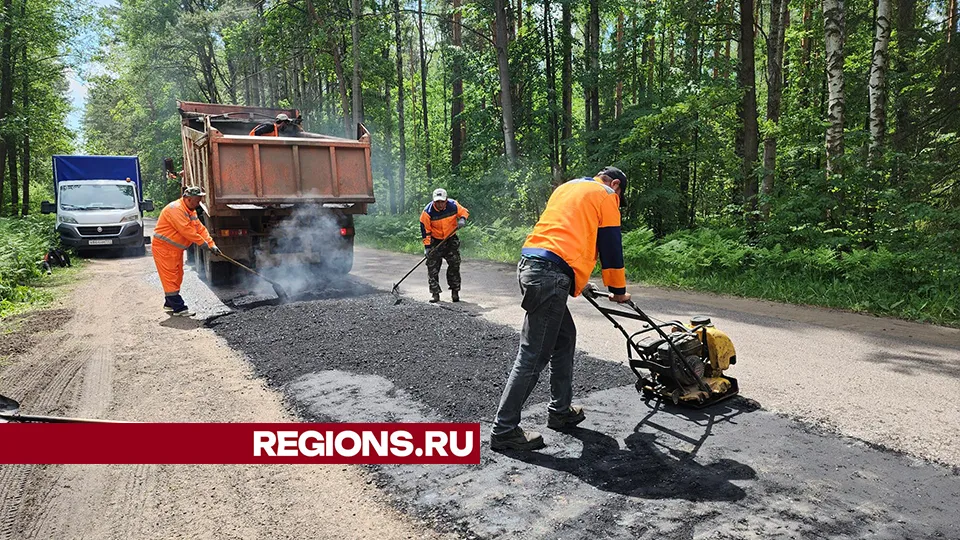 Фото: Александр Степушкин