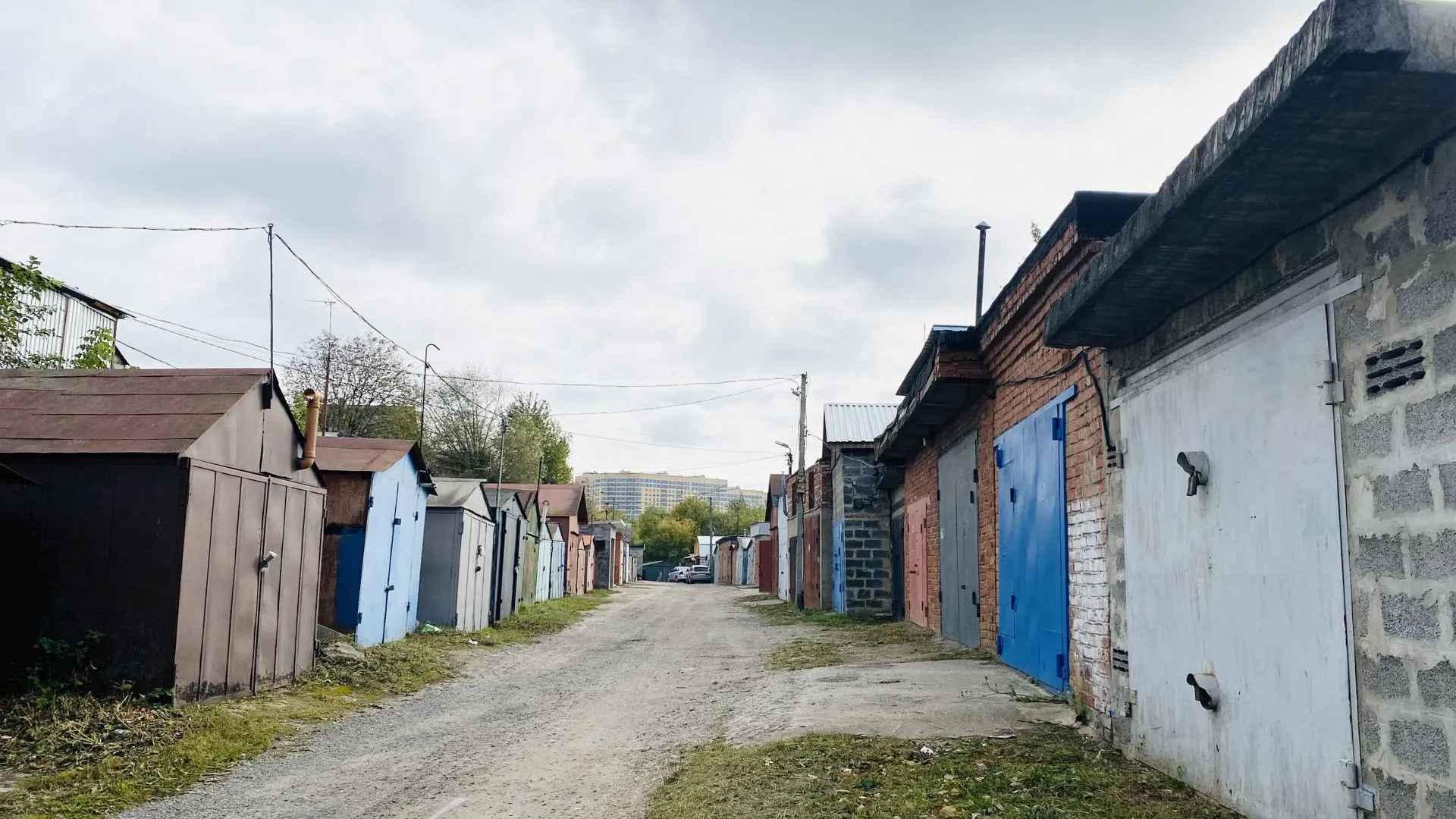 Анастасия Сараева