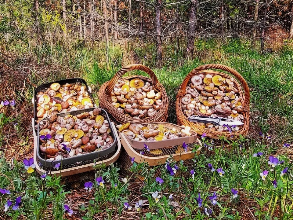 Фото: Василий Потапов