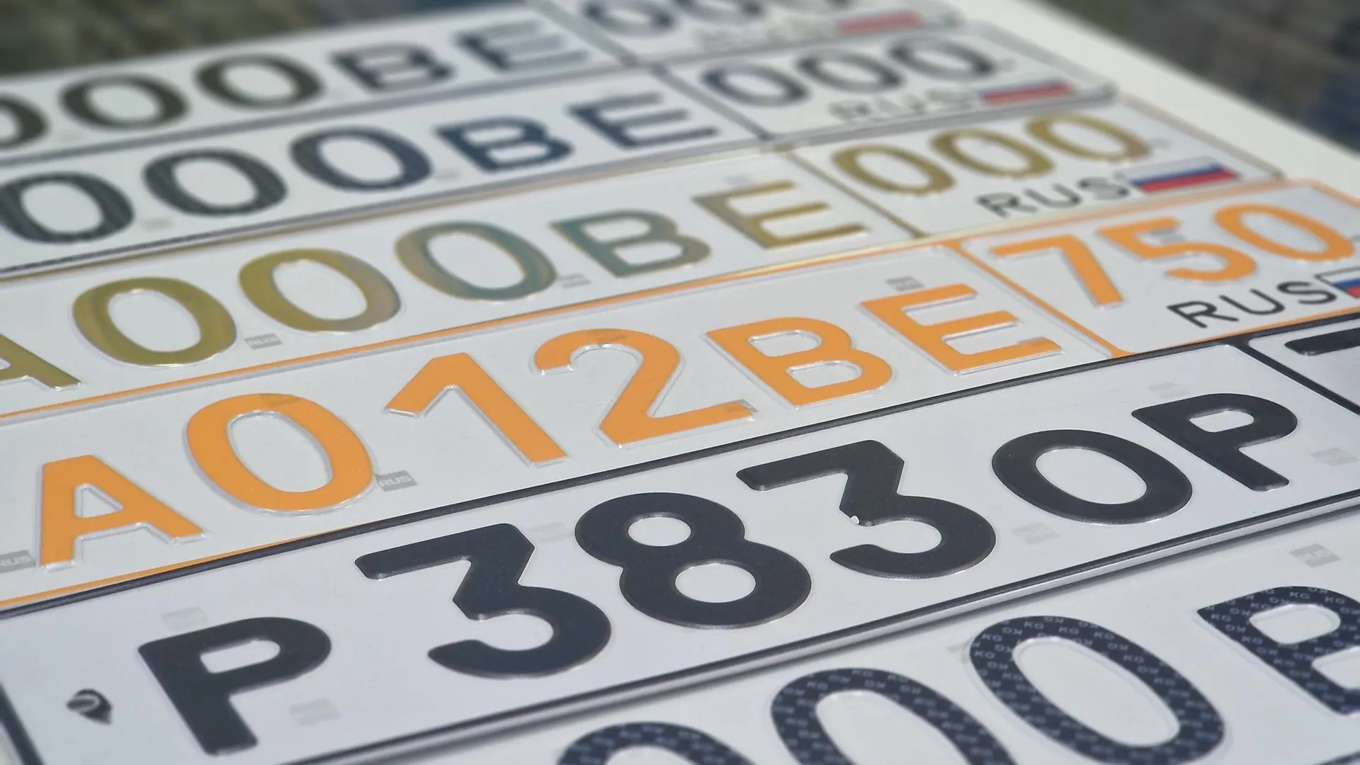 МедиаБанк Подмосковья/Ольга Шаронова