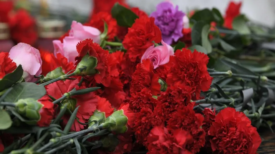 Фото: пресс-служба Администрации г.о. Химки