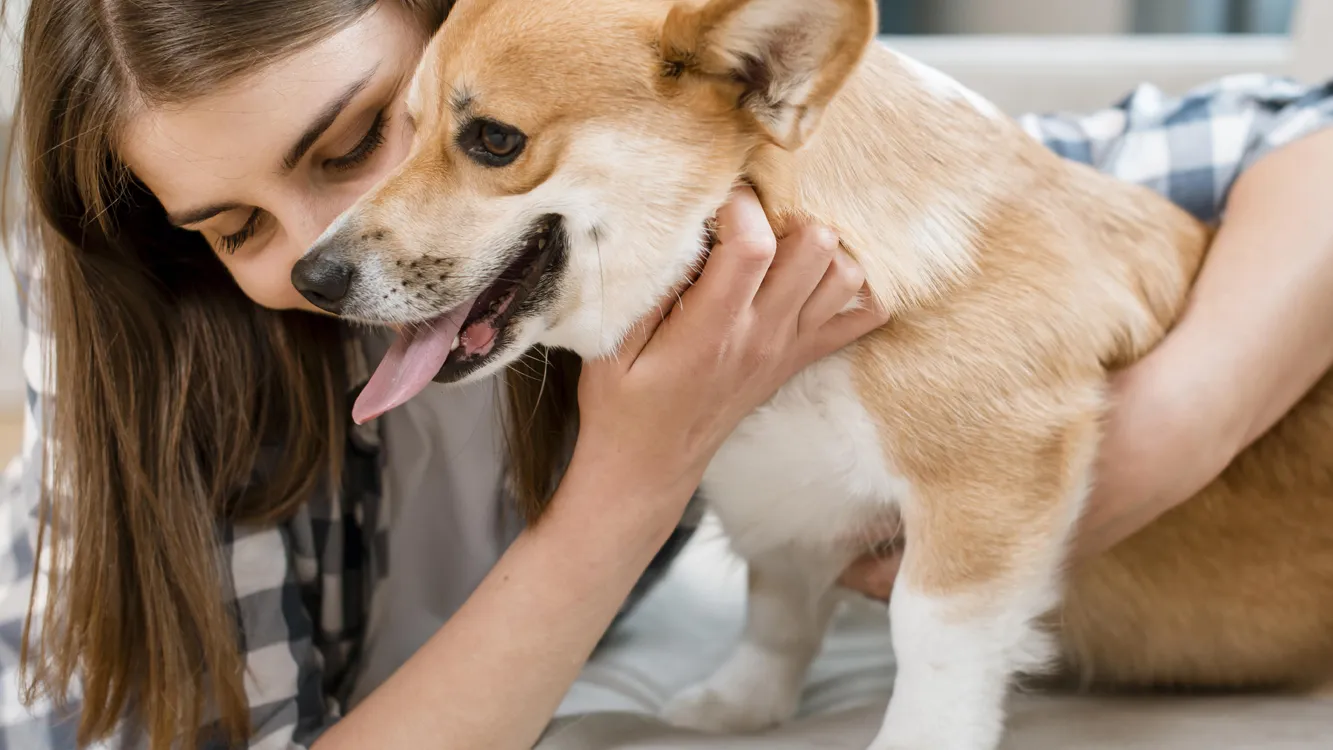 Фото: freepik.com