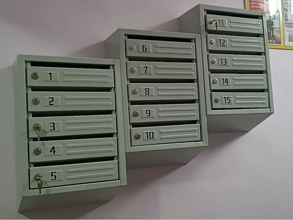 Фото: МедиаБанк Подмосковья/Роман Кутузов