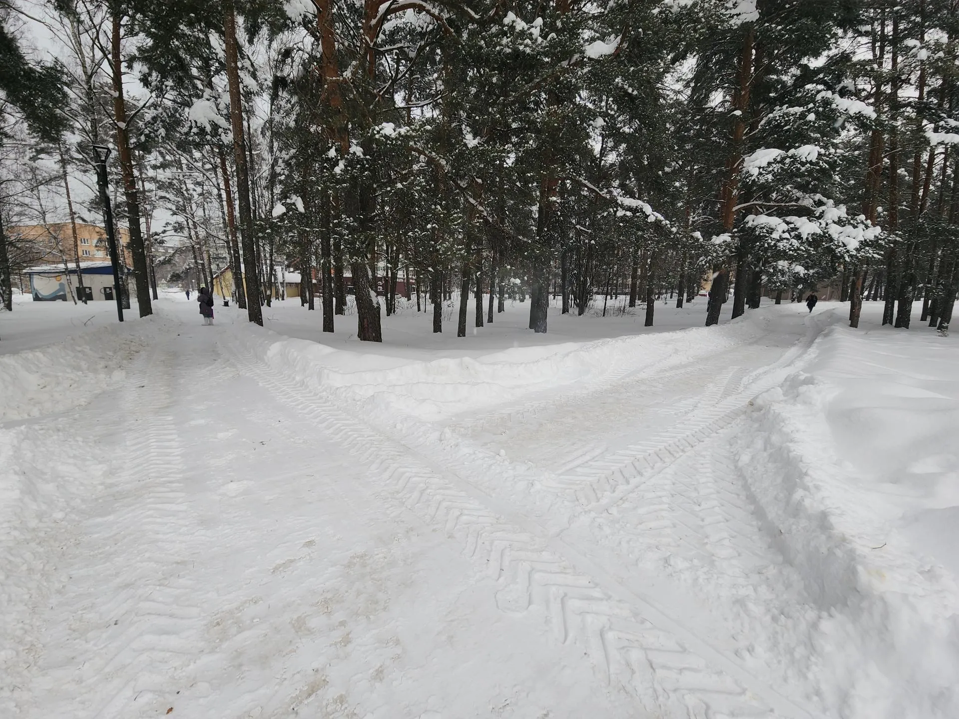 REGIONS/Иван Петрушин