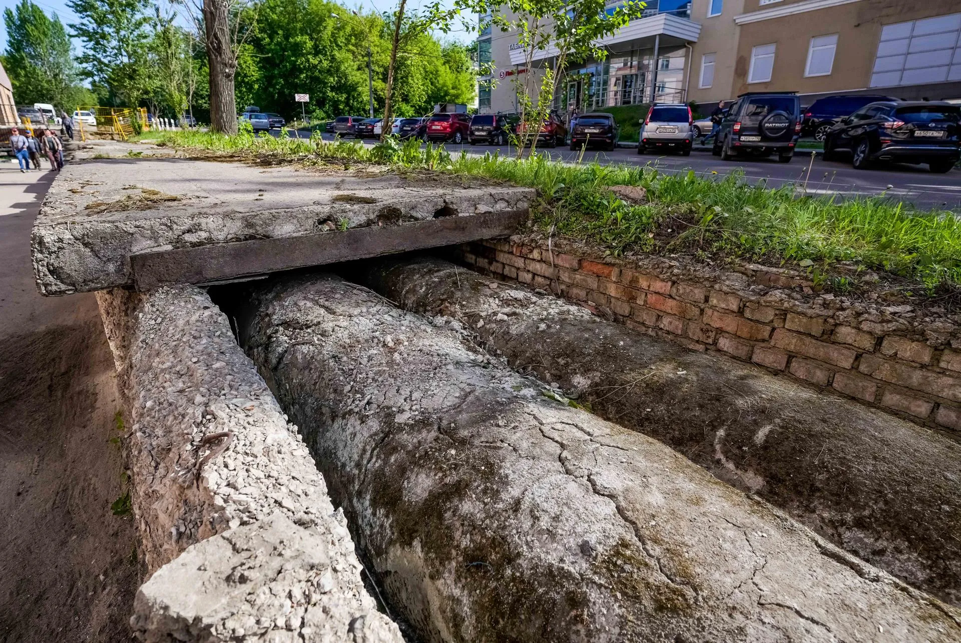 Александра Степанова