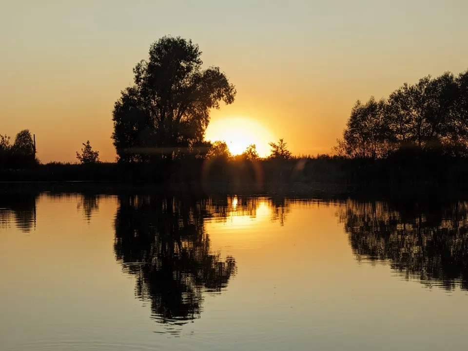 Фото: REGIONS/Алексей Селиверстов