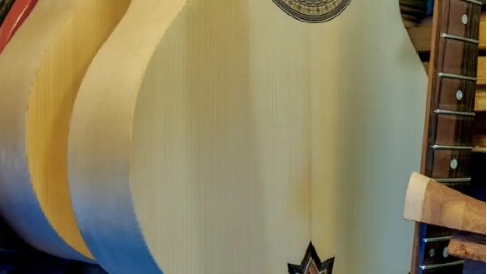 Фото: МедиаБанк Подмосковья/архив Сергея Крячкова