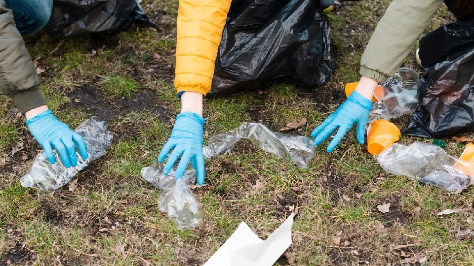 Фото: freepik.com