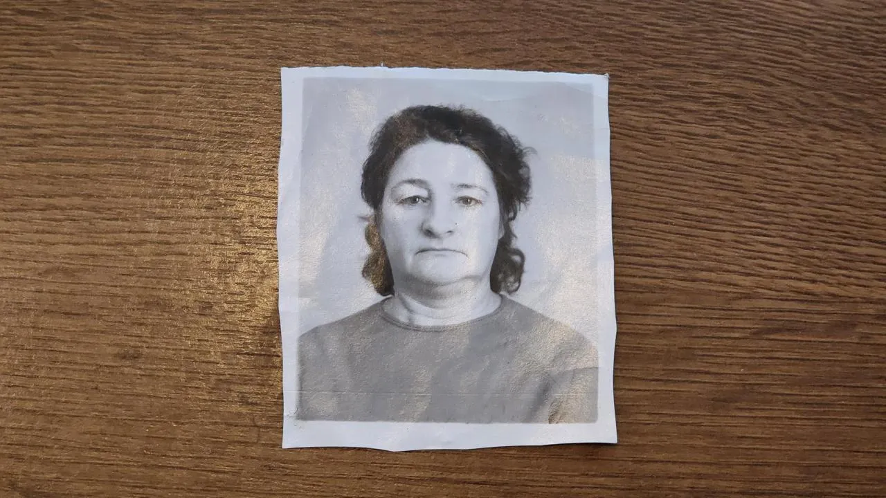 МедиаБанк Подмосковья/Валентина Максимова