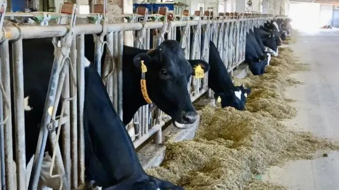 Фото: Министерство сельского хозяйства и продовольствия Московской области