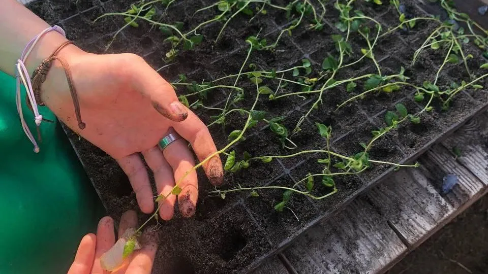 Фото: Минсельхоз МО