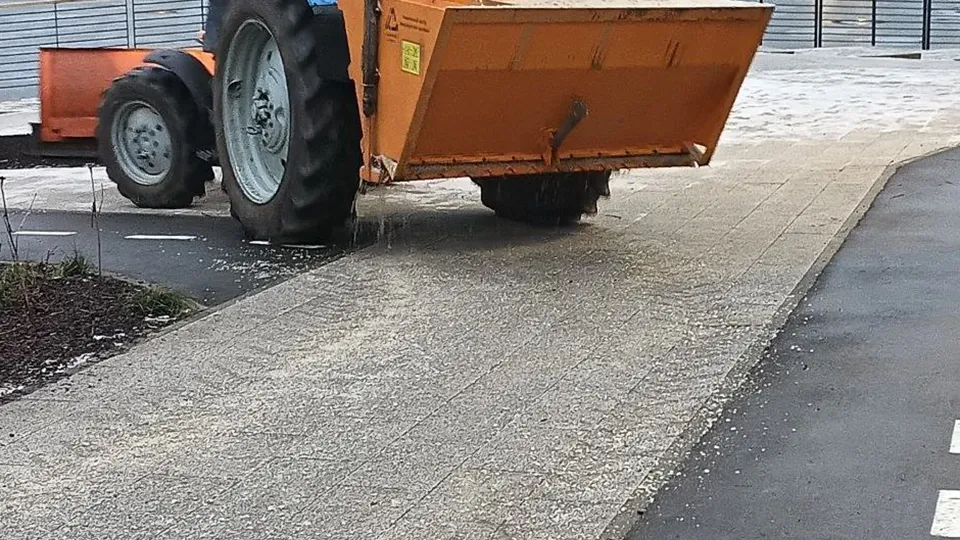 Фото: пресс-служба администрации г.о. Пушкинский