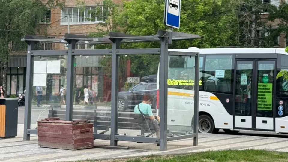 Фото: МедиаБанк Подмосковья/Марина Блакитная