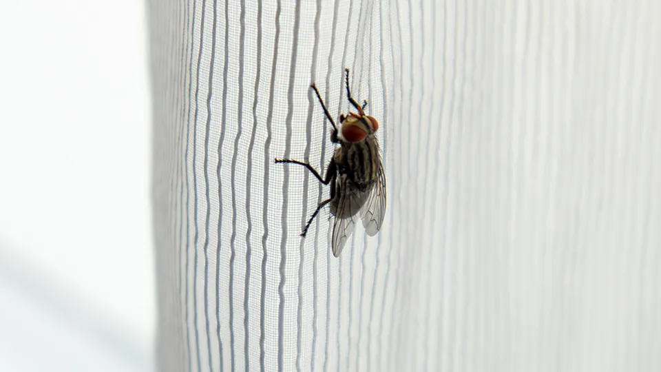 Фото: istockphoto.com