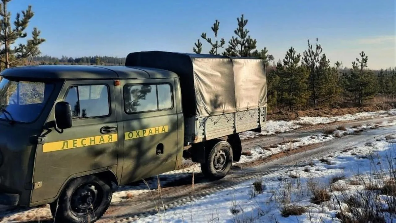 Лесная охрана Подмосковья за три месяца провела более 16 тыс. патрулирований