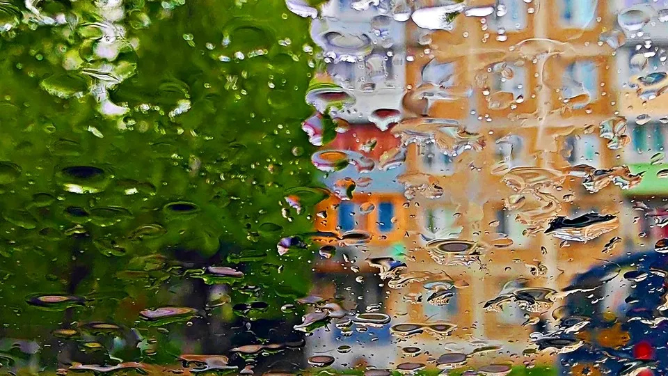 Фото: REGIONS/Алексей Селиверстов