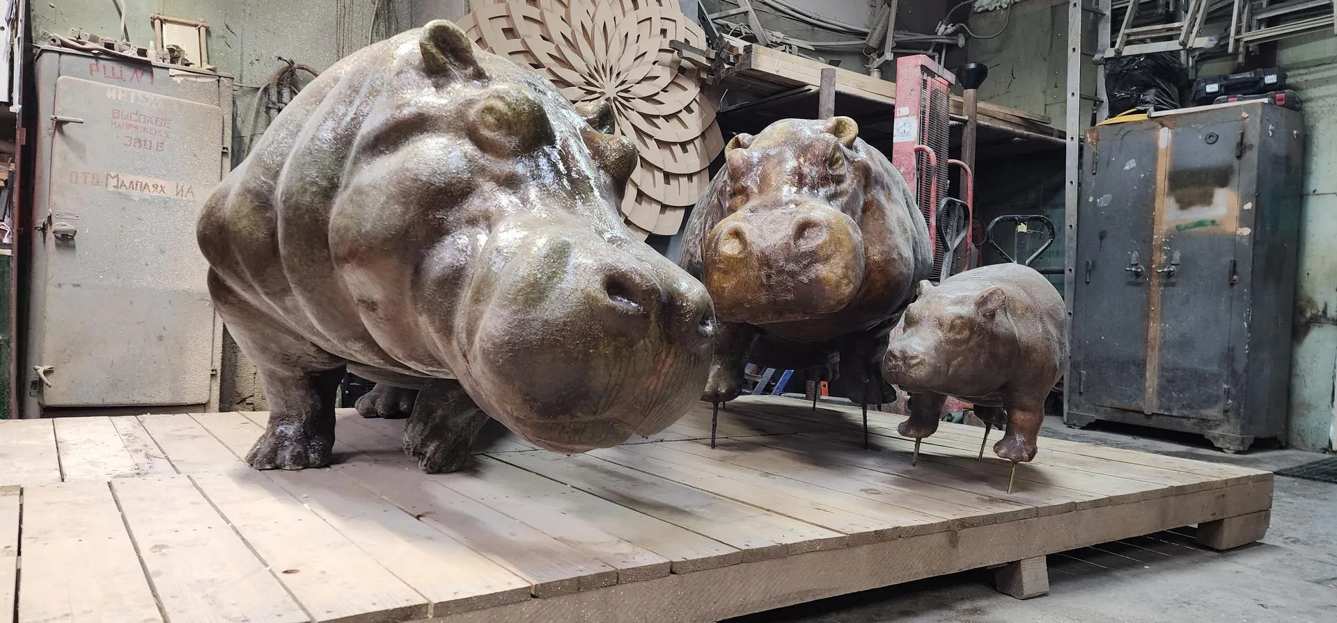 МедиаБанк Подмосковья/Максим Сафронов