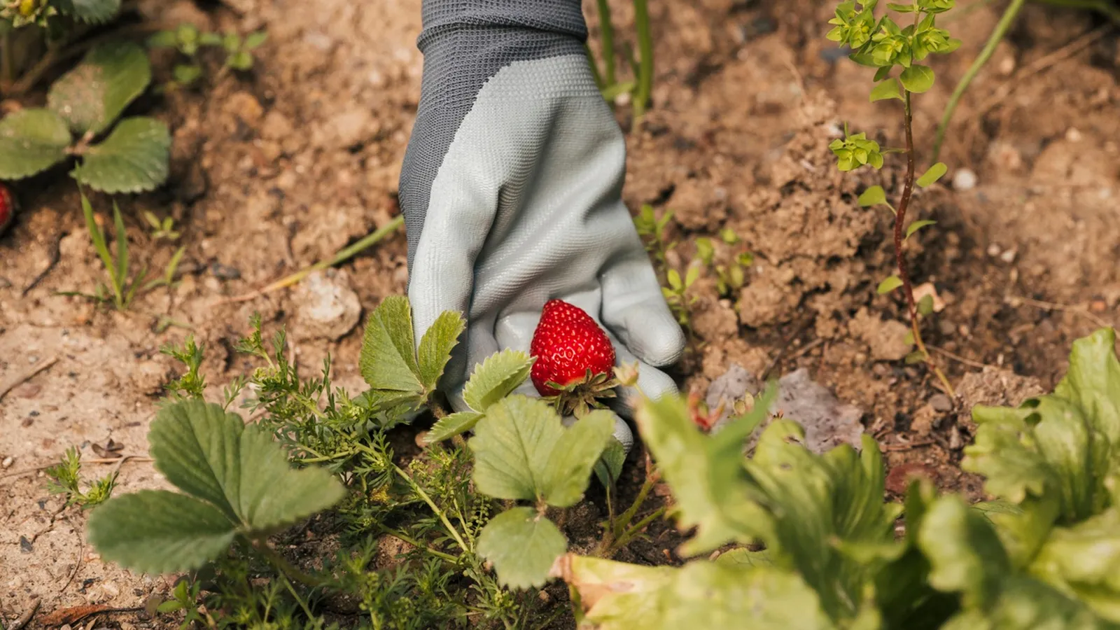 Фото: freepik.com