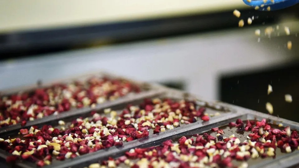 Фото: пресс-служба Администрации г.о. Химки