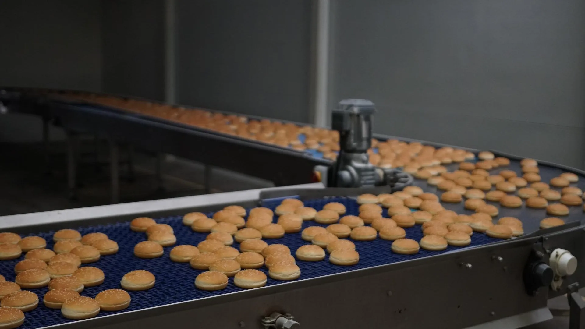 Фото: Виталий Сид