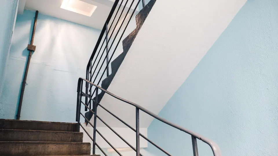 Фото: пресс-служба администрации городского округа Химки