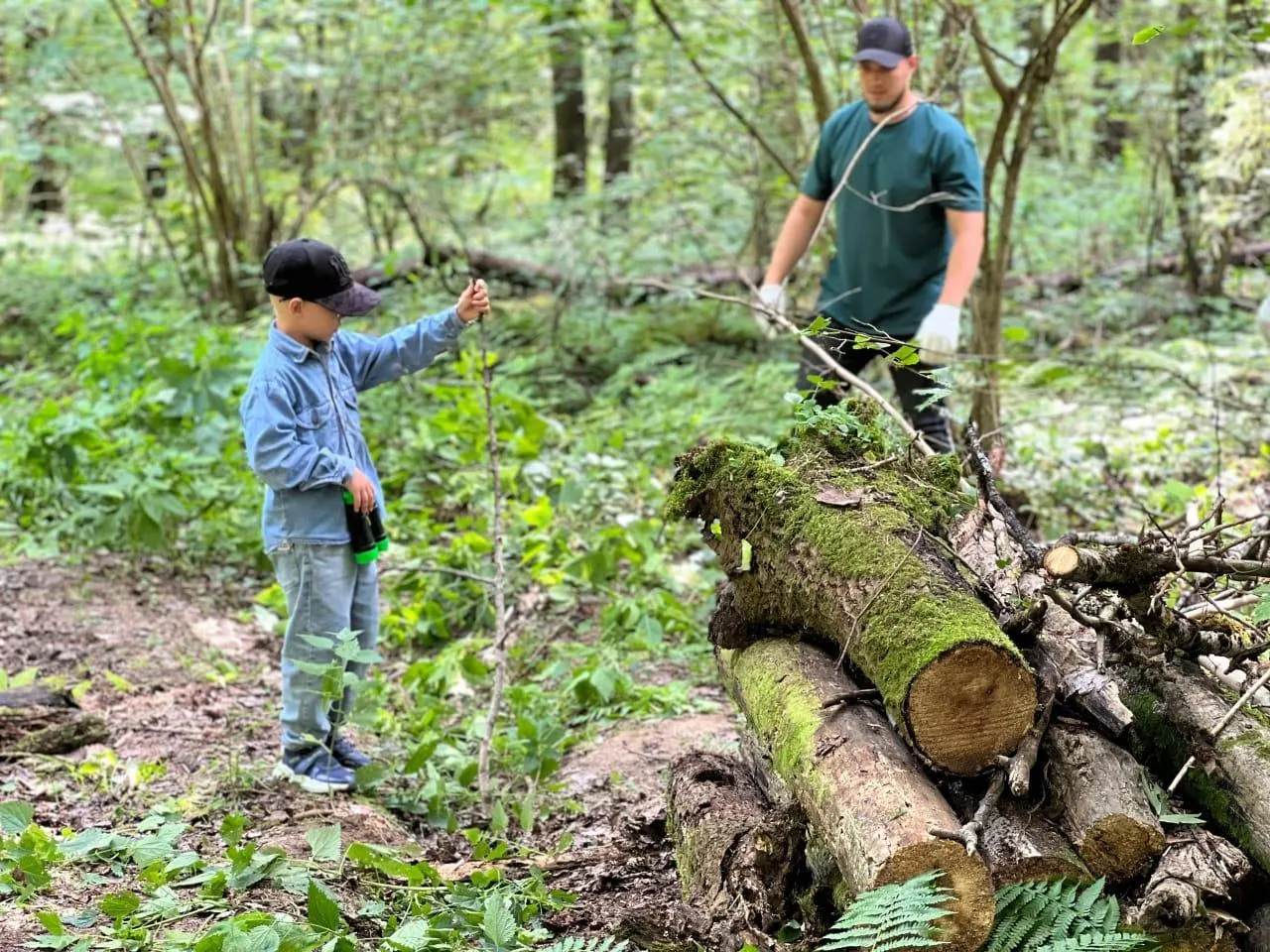 Фото: Комитет лесного хозяйства Московской области