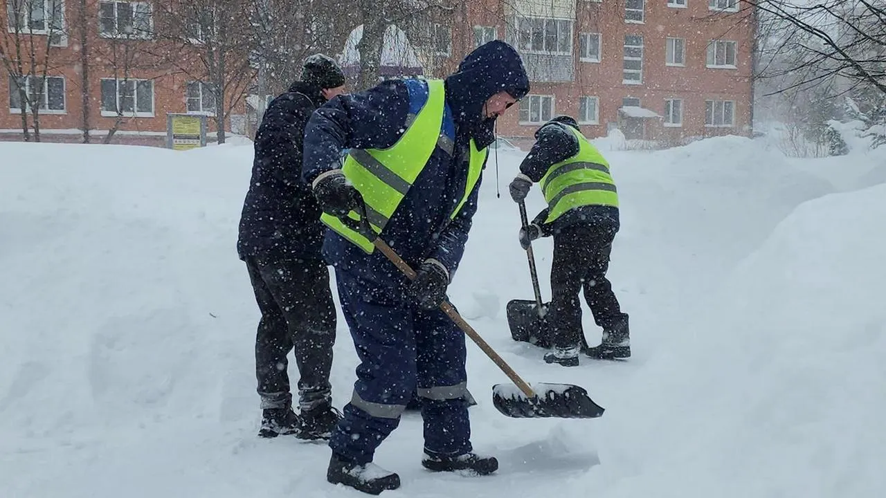 МедиаБанк Подмосковья/Анна Шолохова