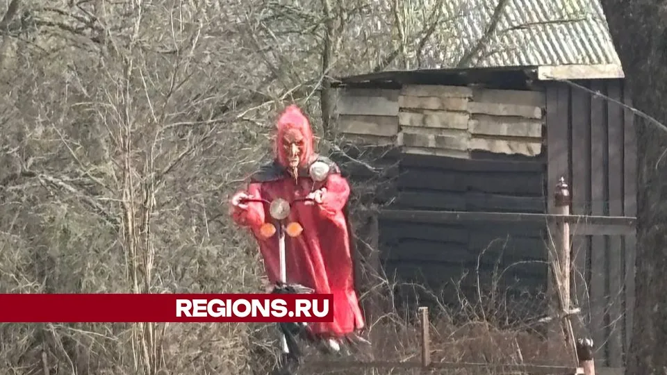 Фото: REGIONS/Алена Мельникова