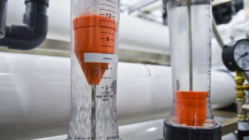 Фото: t.me/mikhalkov_official