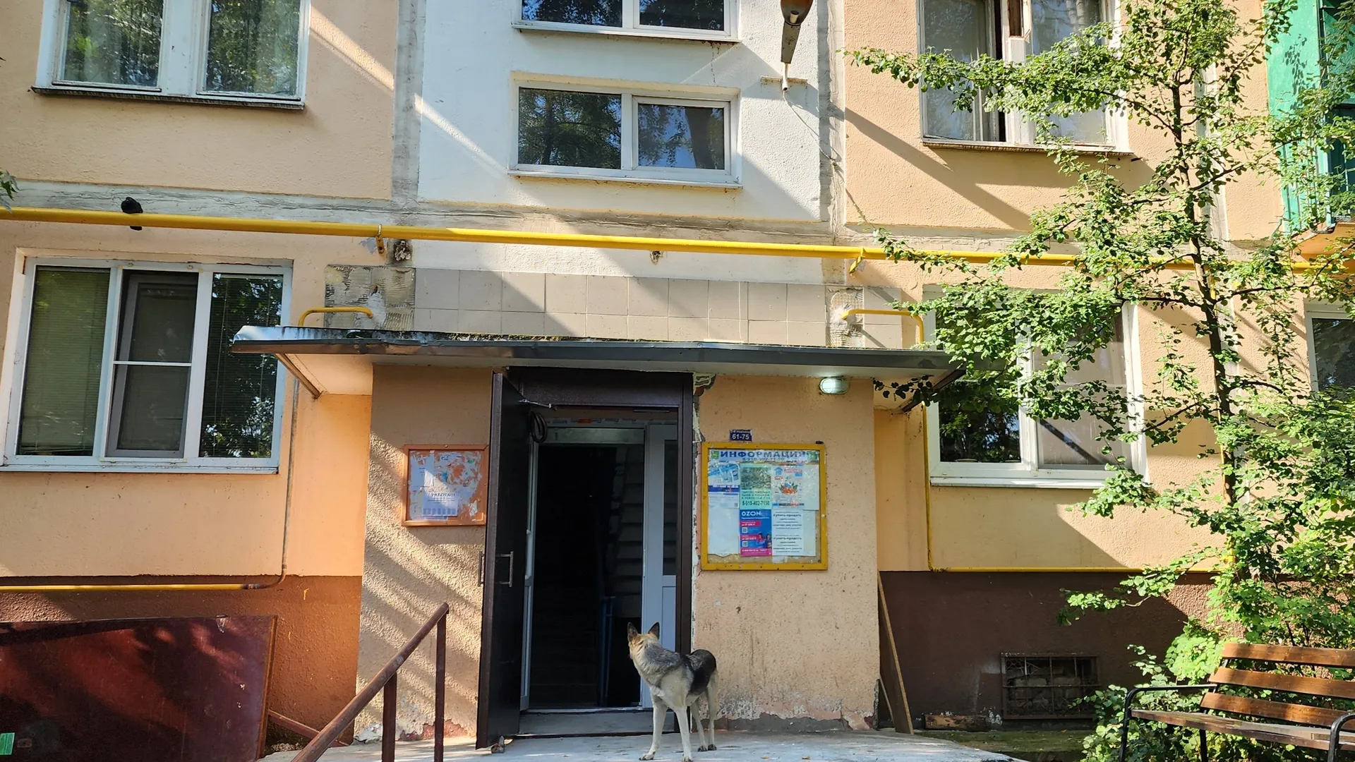 Фото: медиасток.рф