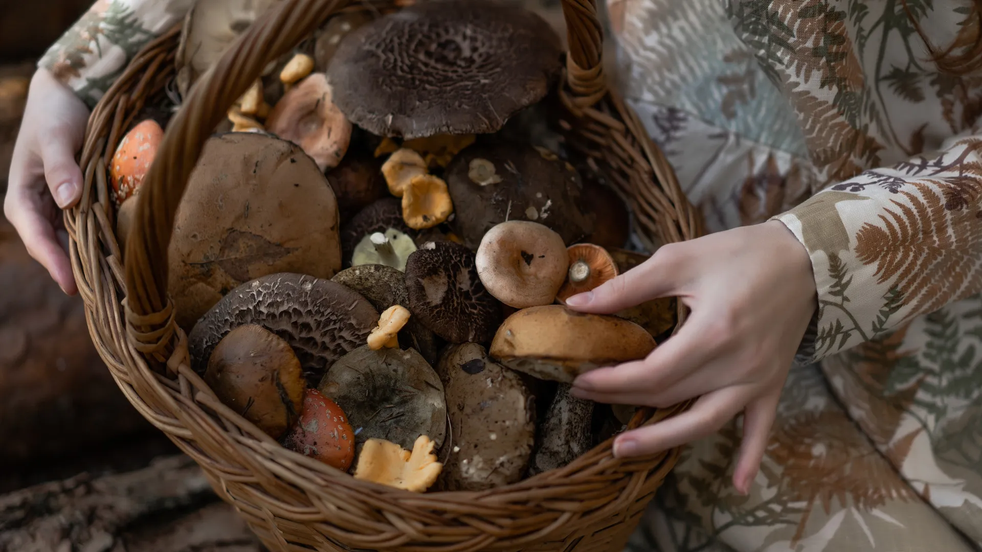 Фото: freepik.com