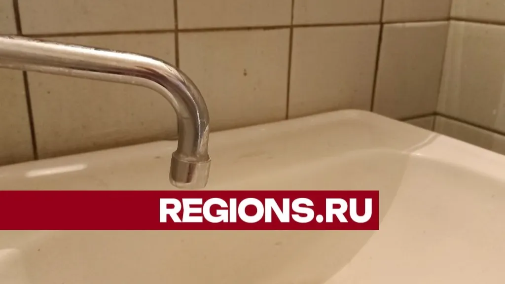 Фото: Олег Книжник