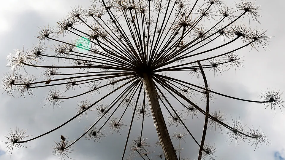 Фото: ТАСС/Мария Дмитриенко