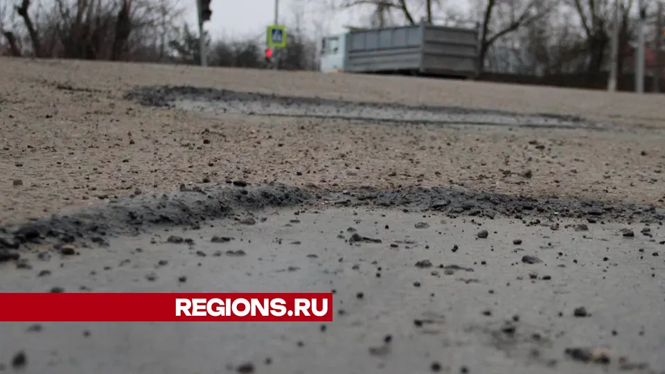 Фото: REGIONS/Василий Тремасов