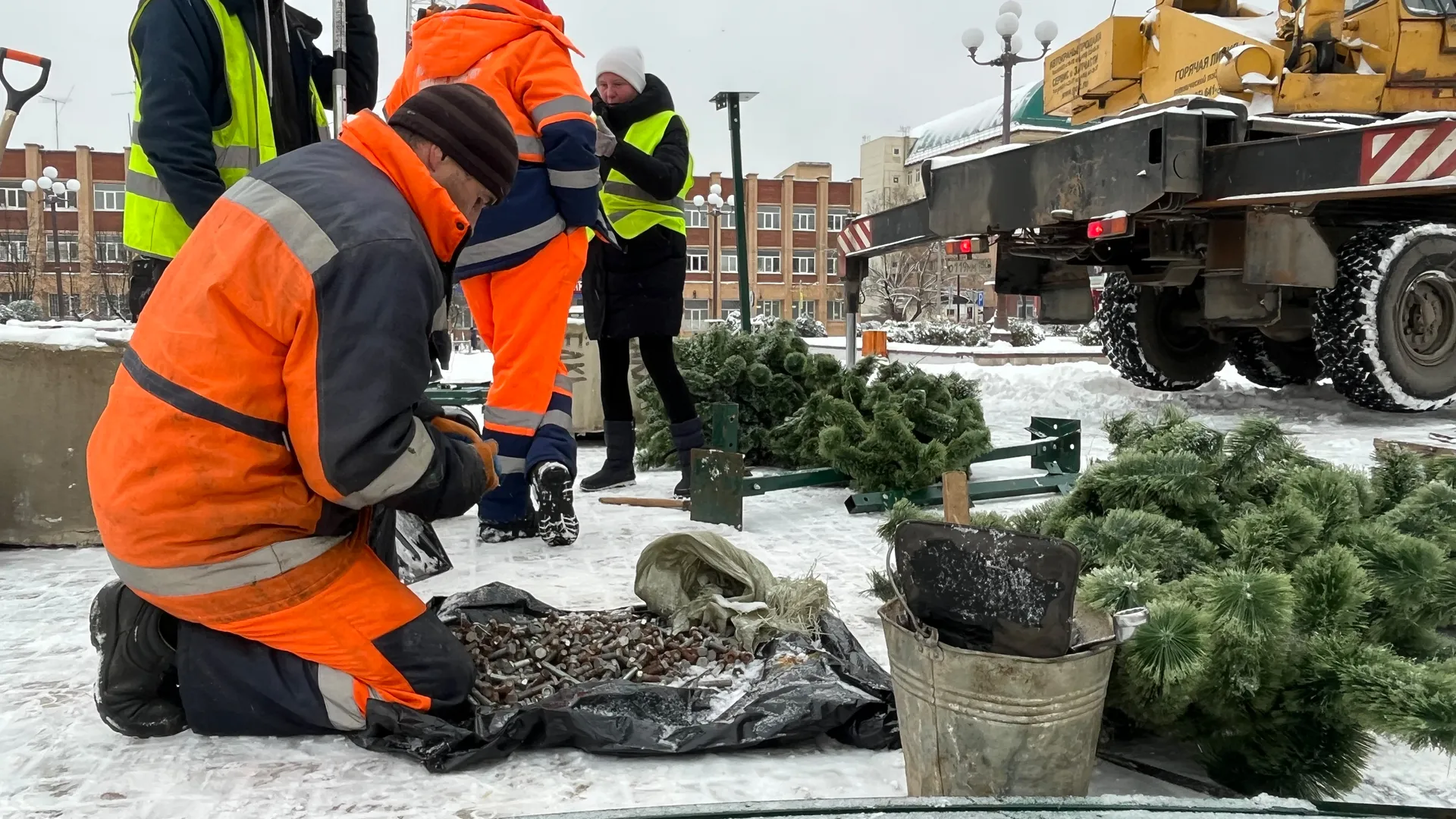 Фото: Медиабанк Подмосковья/Анна Тюрюмина