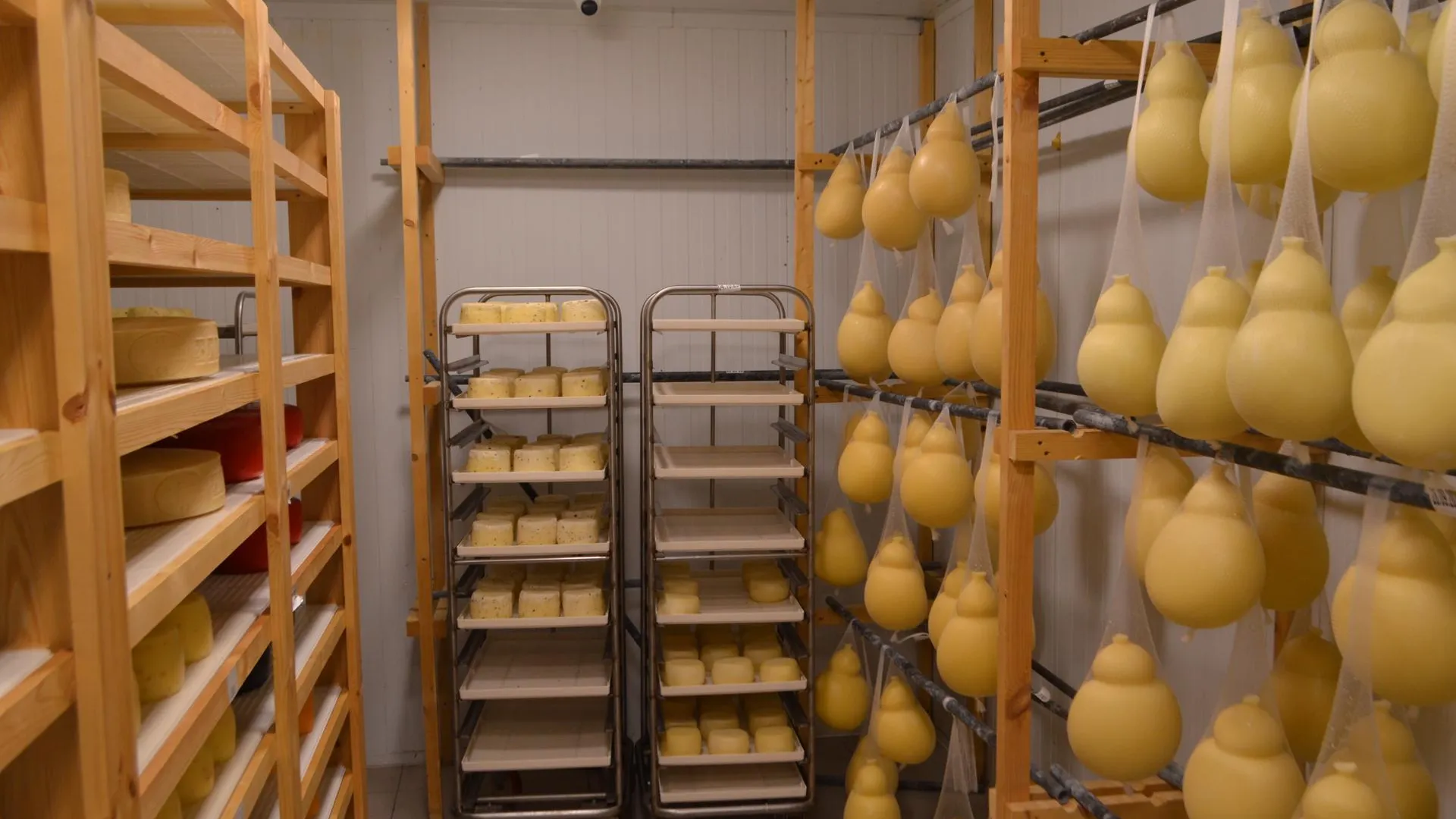 Наталья Лымарь