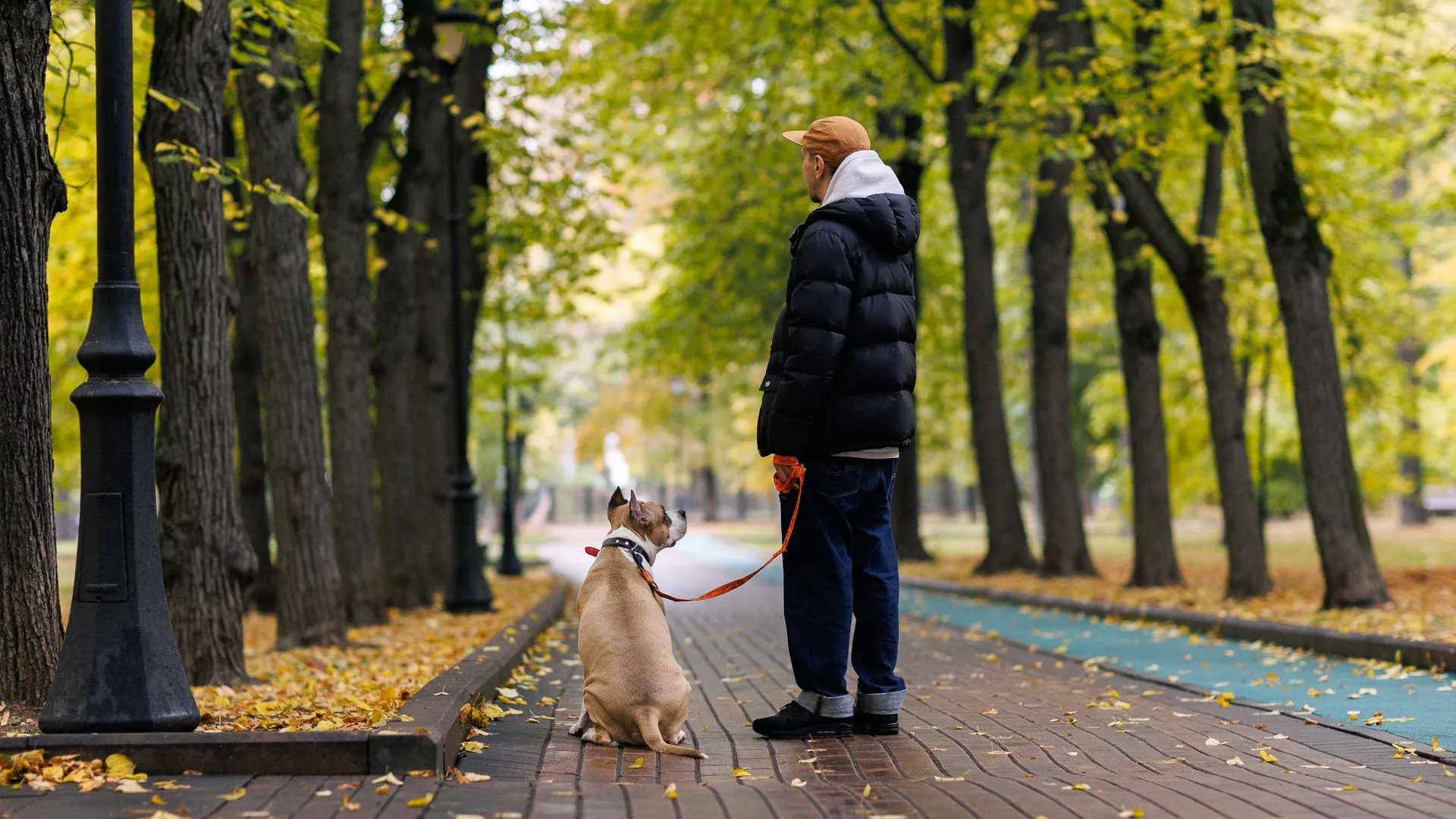 медиасток.рф