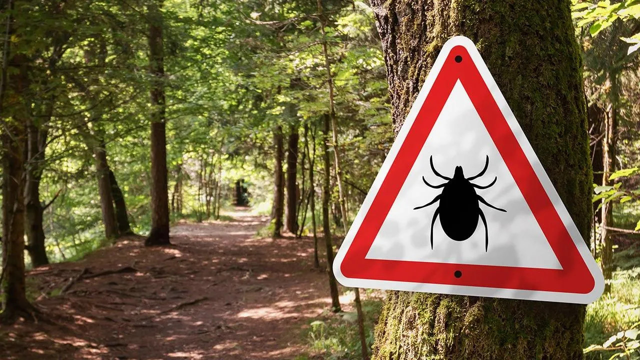 istockphoto.com/24K-Production